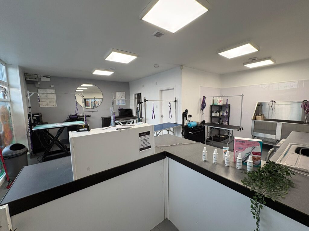 Parkview Dog Grooming Salon